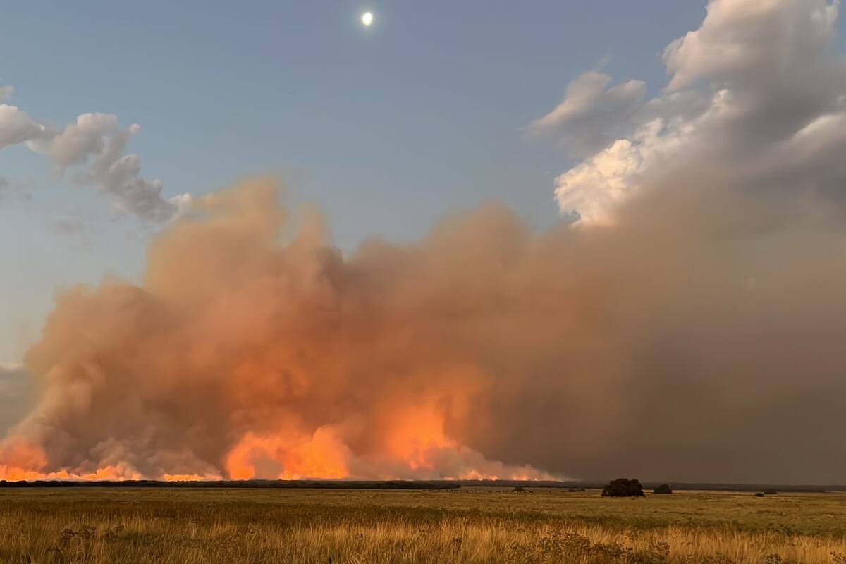 Delfino contó que no era la primera vez que enfrentaba el fuego, pero sí la más devastadora