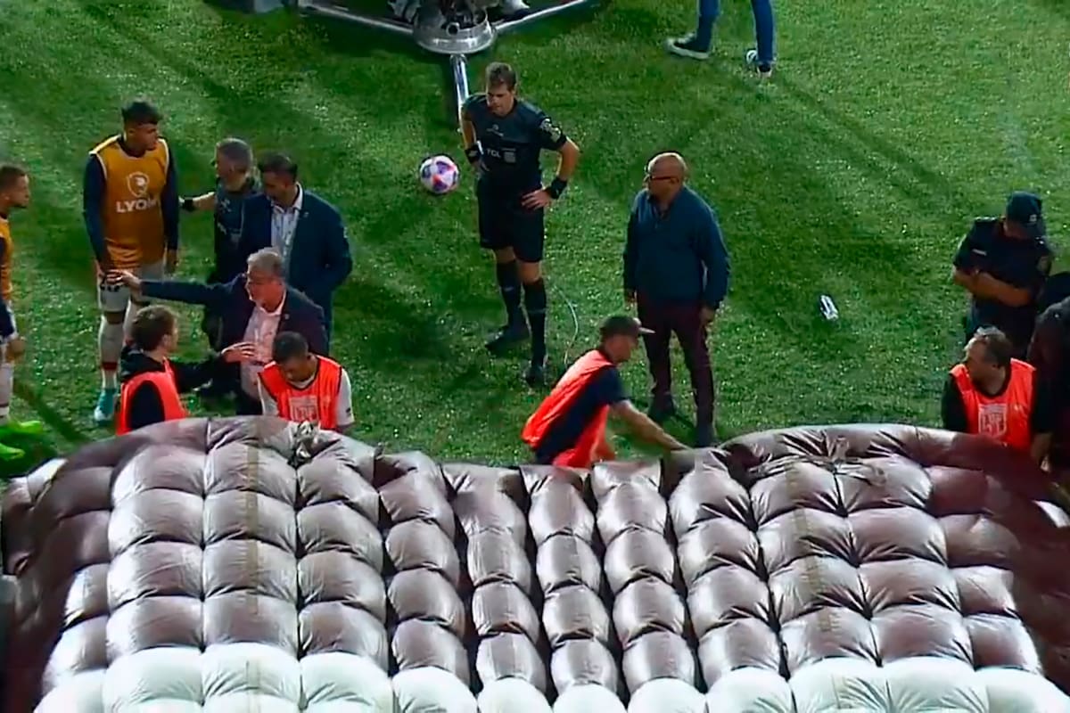 Delfino espera detrás de la manga