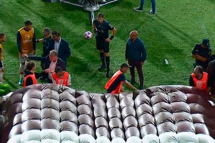 Delfino espera detrás de la manga