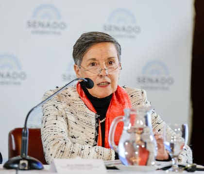 Delia Ferreira Rubio
