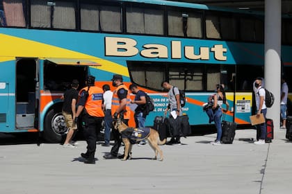 Dellepiane tiene hoy un movimiento diario de entre 40 y 50 ómnibus