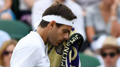 Delpo se despidió de Wimbledon en la segunda rueda