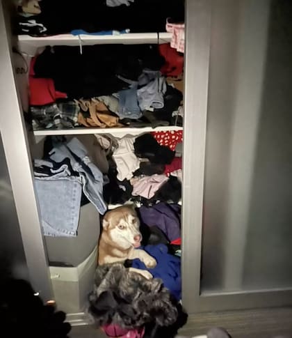 Demi intentó hacer un pozo en uno de los armarios de la casa.