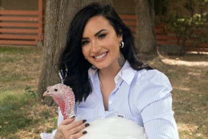 Demi Lovato posó con un pavo en un santuario de animales y luego, en el Día de Acción de Gracias, publicó una foto de una de esas aves recién horneada.