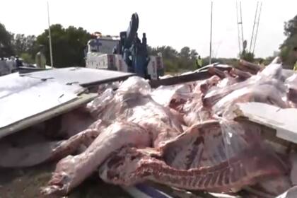 Demoras en la autopista Ezeiza-Cañuelas: volcó un camión, la carga de carne quedó esparcida sobre el asfalto y su conductor sufrió heridas