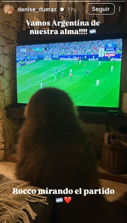 Denise Dumas compartió una imagen de su perro Rocco frente a la televisión