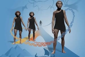 Identificaron en el ADN humano rastros de un ancestro fantasma que vivió hace más de 50.000 años