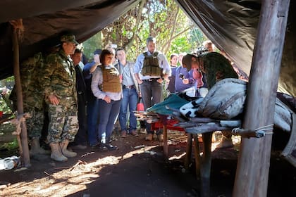 Dentro de la plantación viven los "marihuaneros" en precarias "ranchos" mientras dura la cosecha