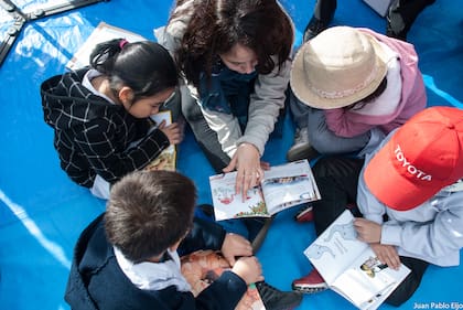 Dentro del aula, a los docentes se les complica identificar las relaciones, porque solo ven una parte de la realidad