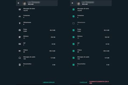 Dentro del chat elegido se podrá elegir qué tipo de contenido borrar tras elegir la opción Liberar espacio