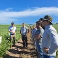 Estiman que existe una brecha productiva del 34% y ponen el foco en el manejo dentro de cada lote