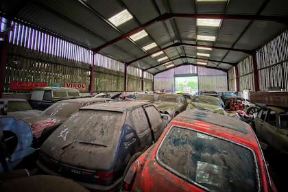 Dentro del galpón había aún más autos raros