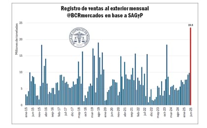 Dentro del período analizado, destacaron las operaciones de junio 2025, ya que solo en ese mes se anotó una tercera parte del total de DJVE registradas en el semestre (el 36%, para ser más exactos, por 23,53 Mt)
