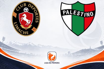 Deportes Limache empató 2-2 con Palestino, por la Primera División Chile