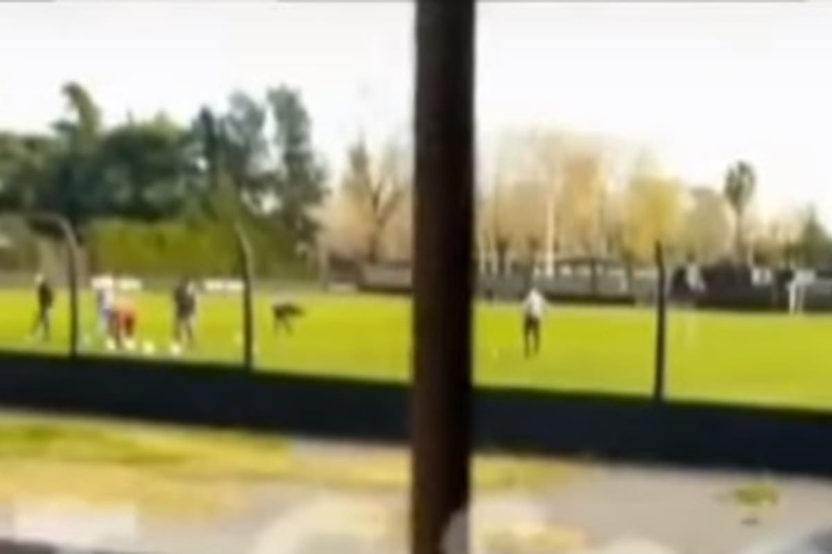 Deportivo Riestra se entrenó y quedó a contramano de las restricciones de la AFA para entrenarse