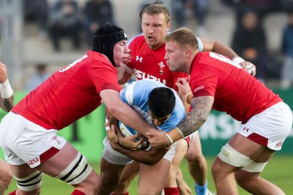 Derrota de los Pumas ante Gales.