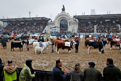 Des desfile de los grandes campeones de todas las razas por la pista central