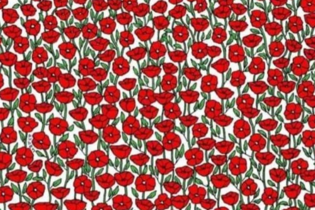 Desafío para expertos: encuentra el cangrejo escondido en menos de 5 segundos