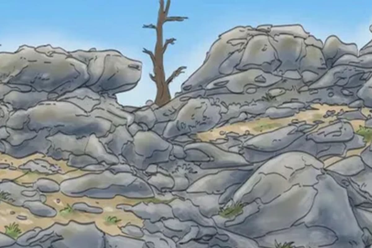 Desafío viral: encuentra al perro escondido en la montaña