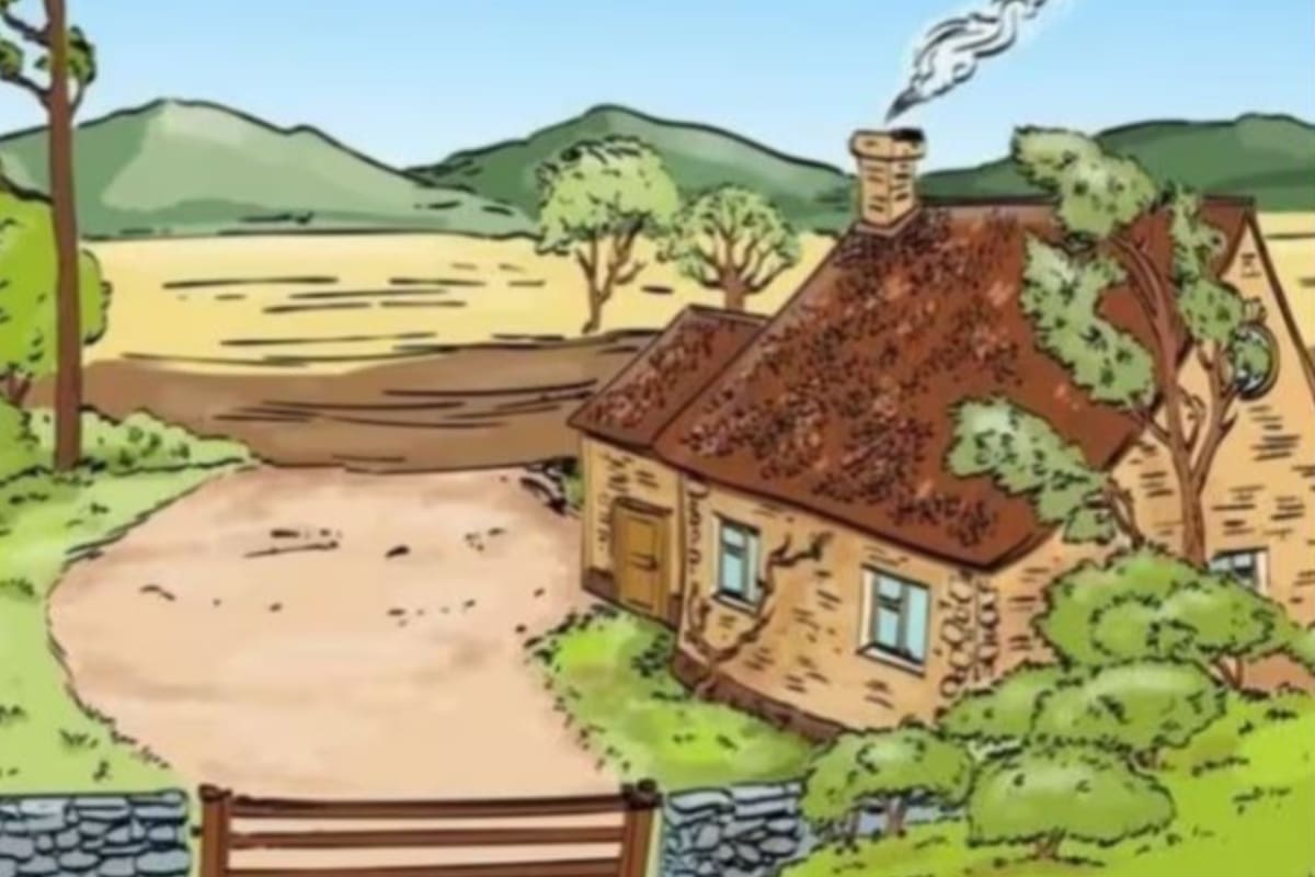 Desafío viral: solo un coeficiente intelectual alto podrá encontrar el error en menos de 5 segundos