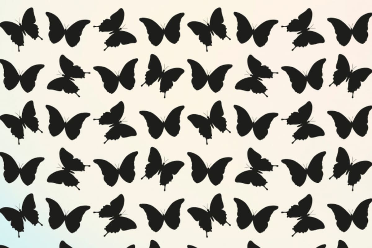 Desafío visual: encontrar la mariposa diferente en 30 segundos