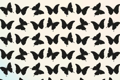 Desafío visual: encontrar la mariposa diferente en 30 segundos