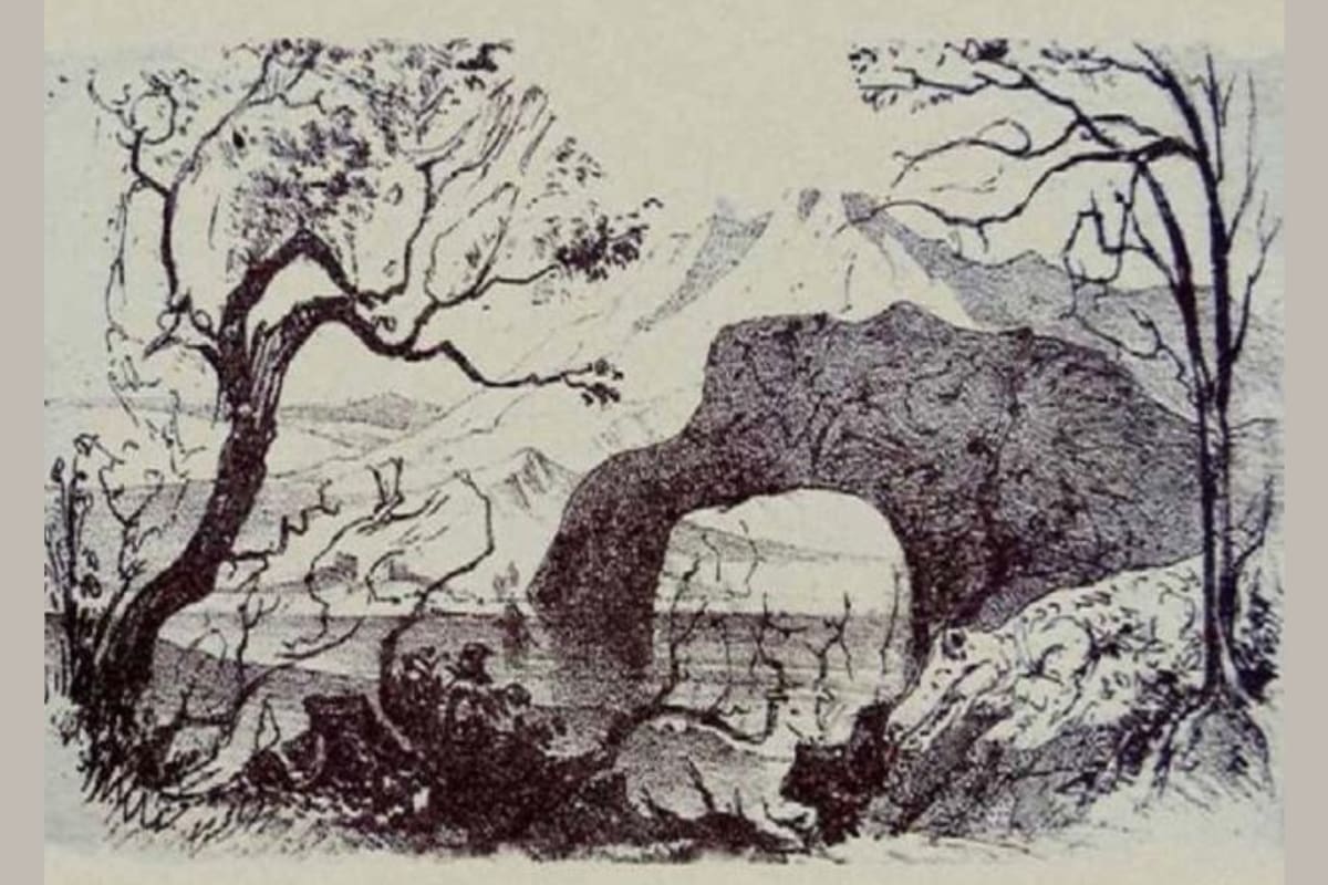 Desafío visual: ¿podés encontrar los 10 animales escondidos en la imagen en solo 15 segundos? (Foto: New York Post)