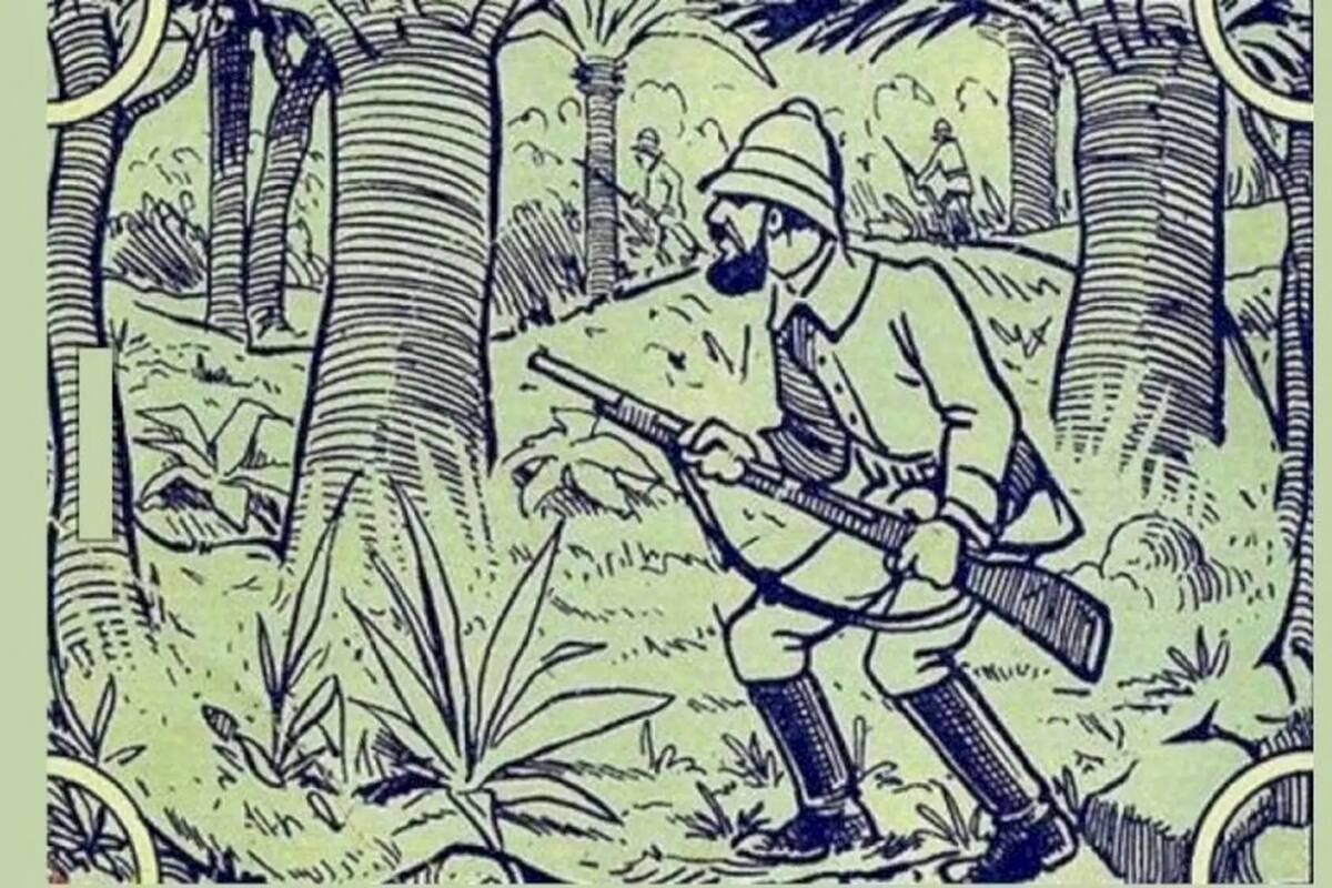 Desafío visual que pocos descubrieron: ¿dónde se oculta el elefante en la imagen?