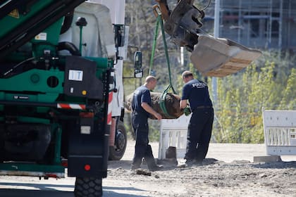 Desalojan estación ferroviaria de Berlín por bomba de Segunda Guerra Mundial