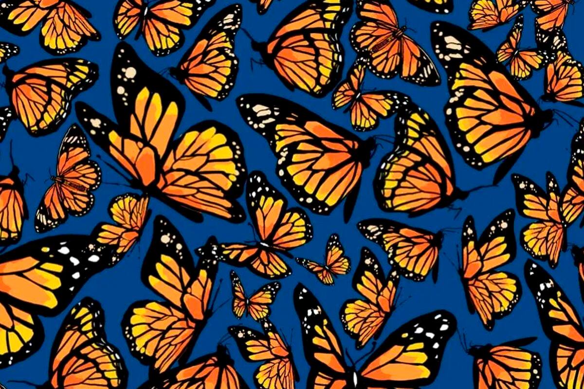 Desarrollado con motivo del octavo aniversario del Día de la Naturaleza, este desafío pone a prueba tu agudeza visual. ¿Te animás a resolverlo?