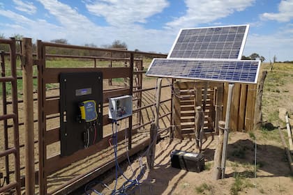 El INTA Anguil y la Universidad de Queensland desarrollaron un sistema que lee la caravana electrónica de cada animal y determina el peso mediante una balanza inteligente ubicada en la manga. Los datos se almacenan y permiten hacer un seguimiento individual de las ganancias o pérdidas de peso a lo l