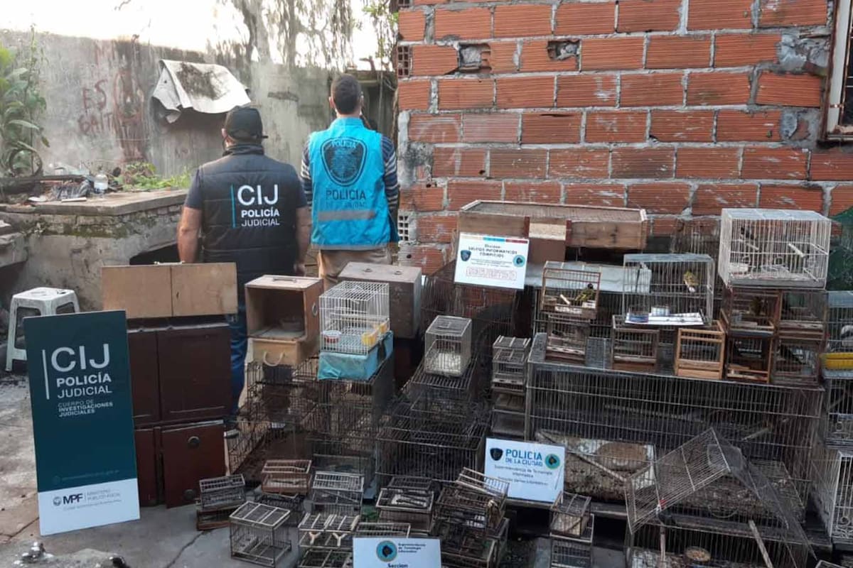 Desbarataron una red de caza furtiva de aves