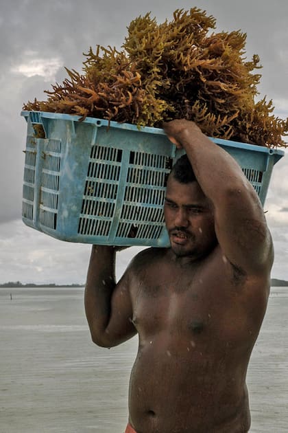 Las islas paradisíacas en las que viven se hunden por el calentamiento global, pero ellos resisten