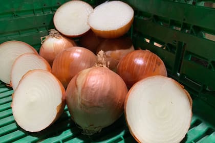 Descartar cebollas en mal estado es importante para evitar arruinar las comidas y que el desperdicio sea mayor
