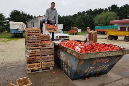 Descarte de tomate en Mar del Plata