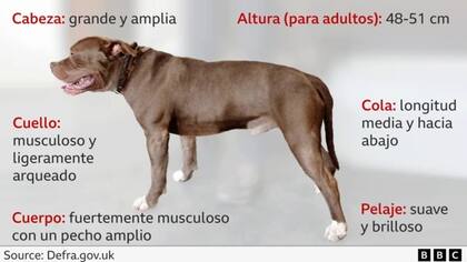 Descripción de esta raza de perros