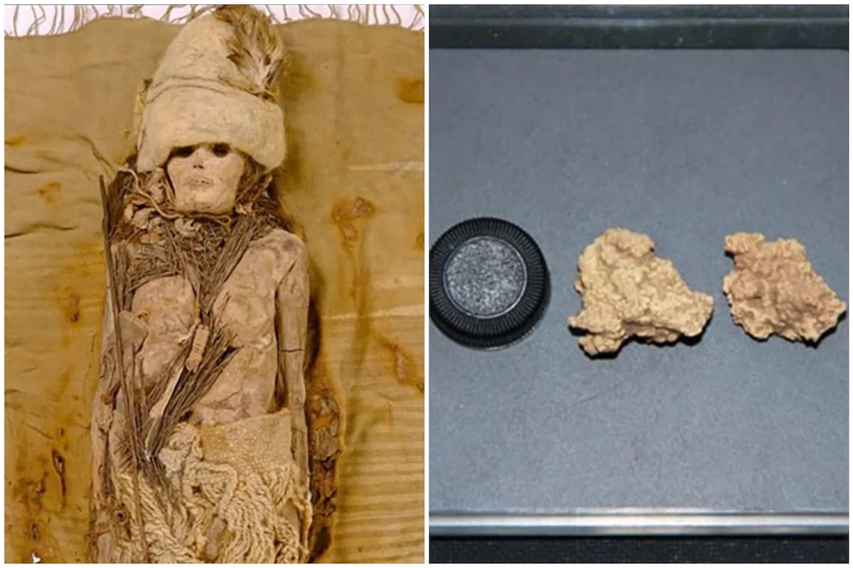 Descubren el queso más antiguo del mundo untado en momias