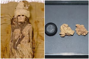 Descubren el queso más antiguo del mundo untado en momias