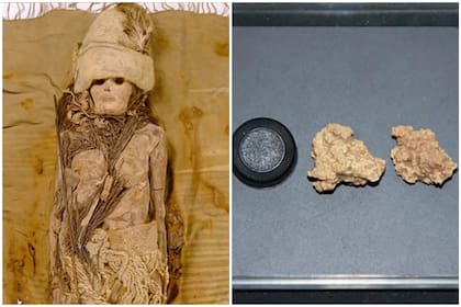 Descubren el queso más antiguo del mundo untado en momias