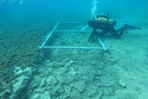 Descubren en el fondo del mar Adriático una estructura milenaria construida en el año 4900 a.C