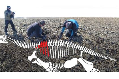 Descubren en la Antártida los restos de un lagarto gigante de más de 150 millones de años