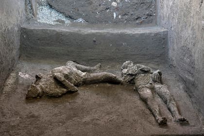 Descubren en Pompeya dos cuerpos intactos.