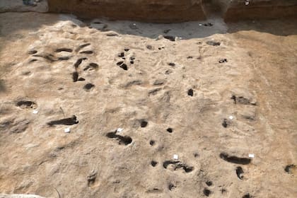 Descubren en Salerno las huellas de humanos que escaparon a la erupción del volcán Vesubio