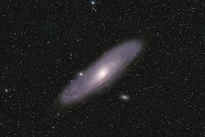 Una científica del Conicet, junto a otros investigadores, descifró cómo se originan las galaxias más masivas del universo