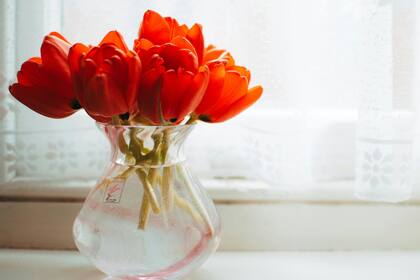 Descubrí cómo cuidar el ramo de flores para que perdure más tiempo