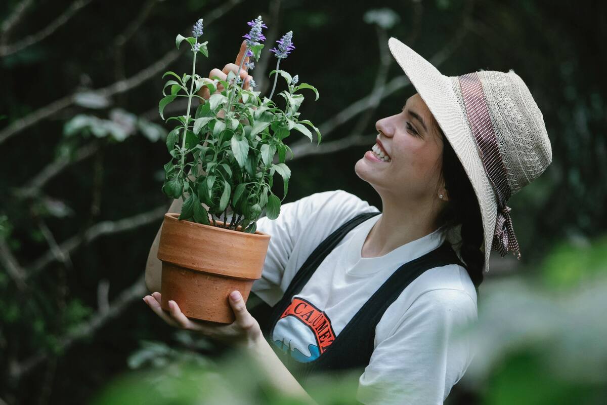 Descubrí cuál es la planta que permite proteger sus funciones cognitivas