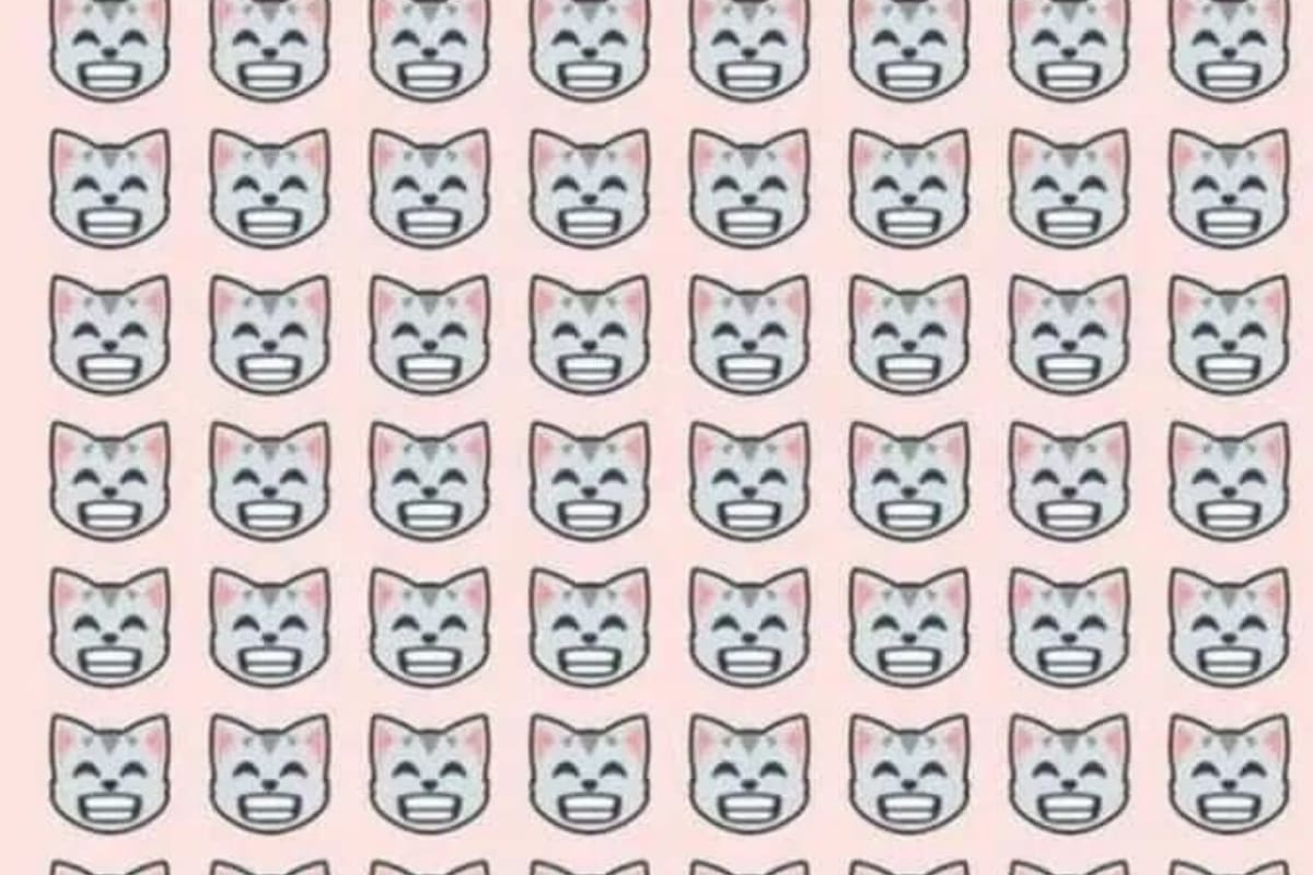 Descubrí el gato diferente en tan solo 10 segundos. El 97 porciento falla en el primer intento