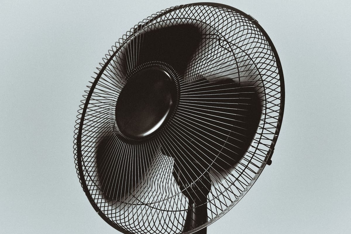 Descubrí el método fácil y de bajo costo para limpiar tu ventilador