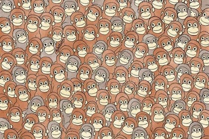 Descubrí en esta imagen dónde está escondido el mono Punch