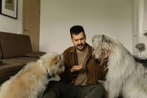 Descubrí los hábitos que los humanos repiten y que generan ansiedad en los perros